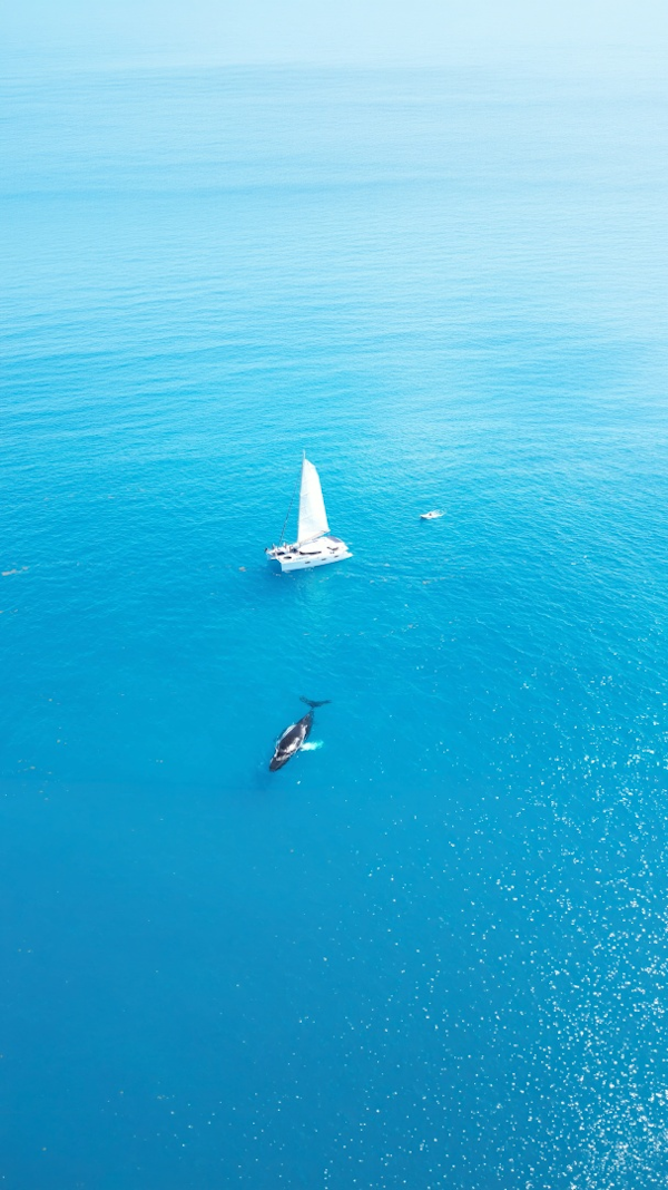 Fountaine Pajot-Sanya 57 2013-Perpetual Blue St. Thomas-Virgin Islands-United States-6105514