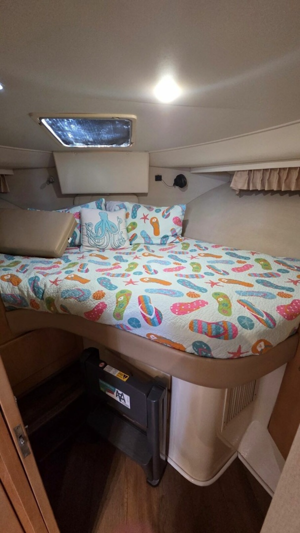 Carver-405 Aft Cabin Motor Yacht 1998-I Swear Gibsonton-Florida-United States-Forward Stateroom-6060872