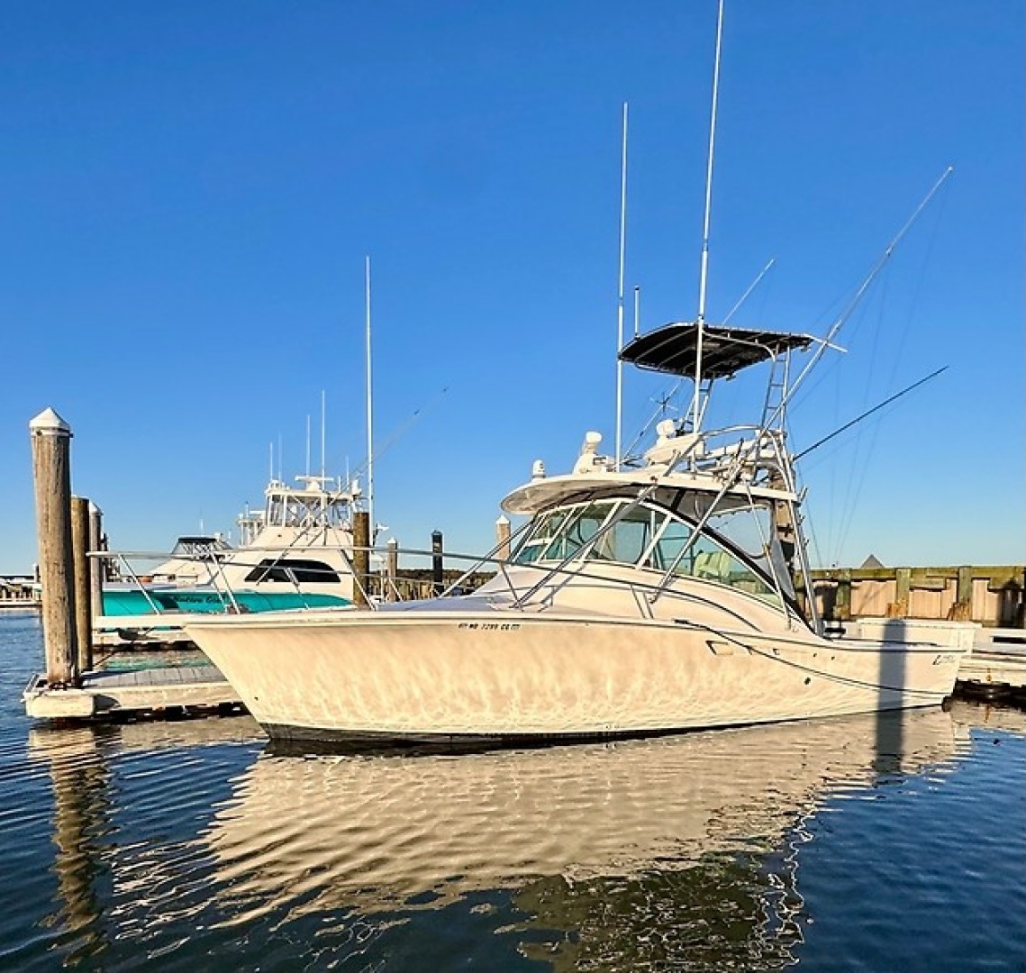 Luhrs-32 Express 2005-Faith Ocean City-Maryland-United States-6061856 | Thumbnail