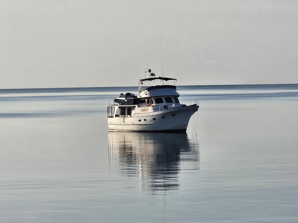 DeFever-Raised Pilothouse 1984-Traveller Anacortes-Washington-United States-49 DeFever starboard forward profile5-6062482