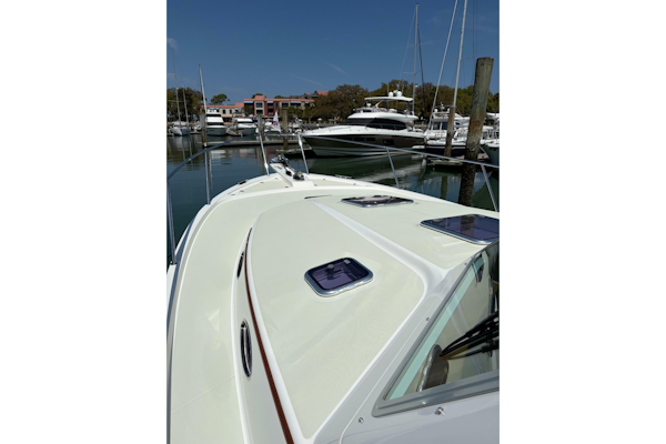 Back Cove-41 2018-Sea Sturgeon West River-Maryland-United States-6062247