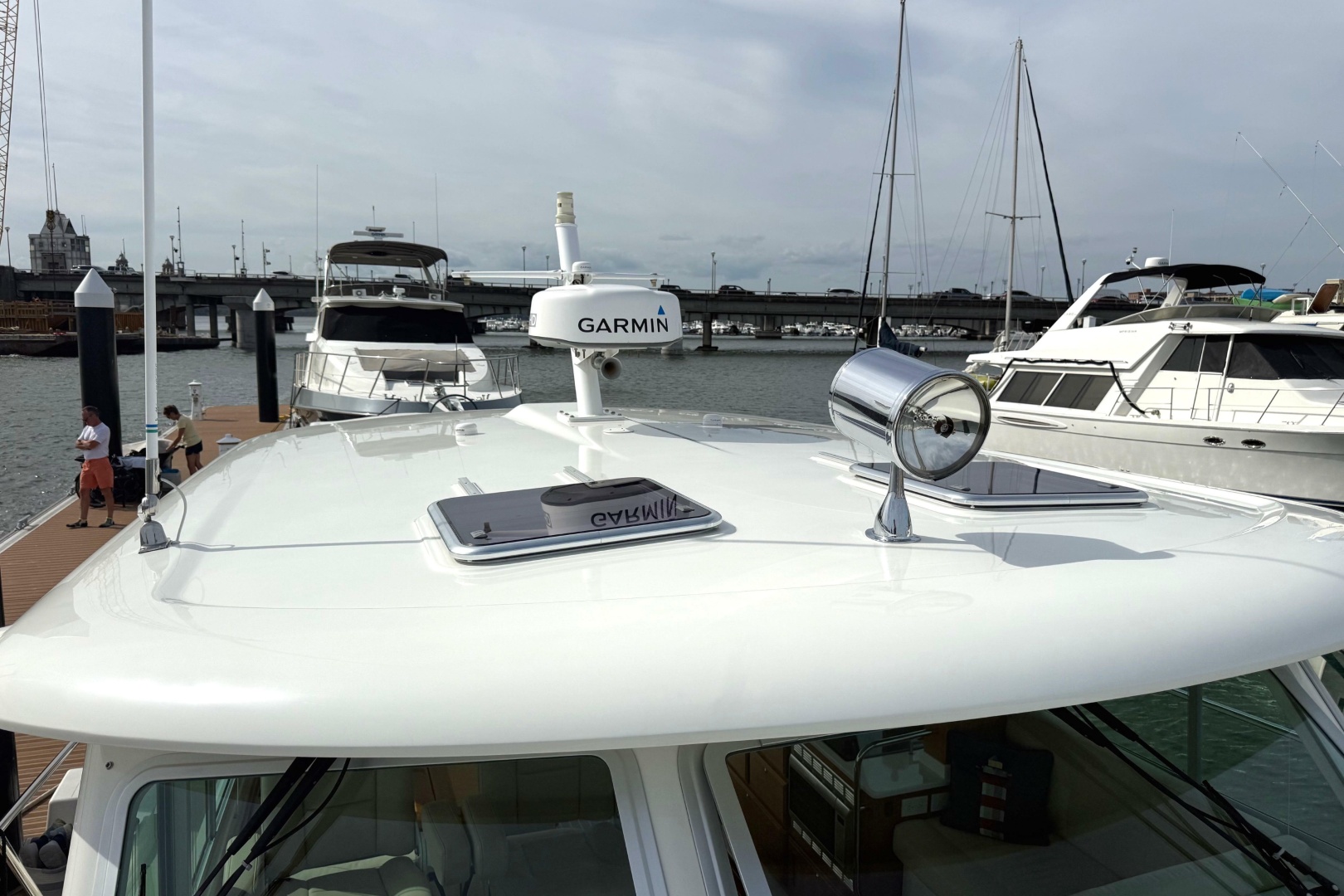 Back Cove-41 2018-Sea Sturgeon West River-Maryland-United States-6062265 | Thumbnail
