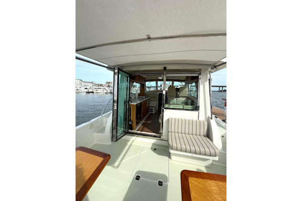 Back Cove-41 2018-Sea Sturgeon West River-Maryland-United States-6062252