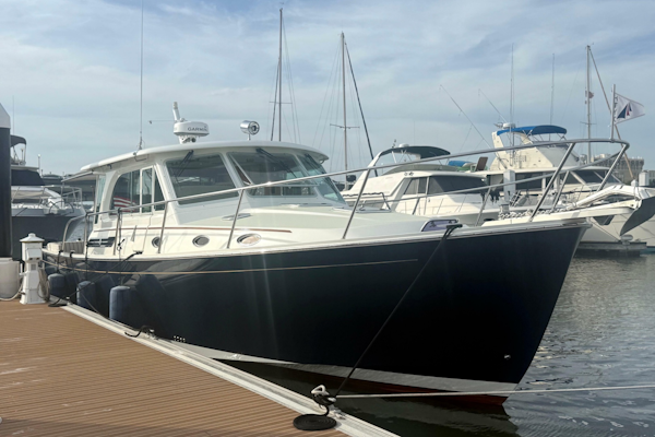 Back Cove-41 2018-Sea Sturgeon West River-Maryland-United States-6062272