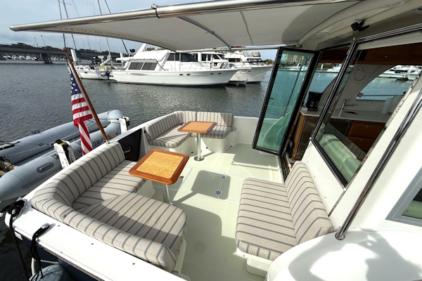 Back Cove-41 2018-Sea Sturgeon West River-Maryland-United States-6062255