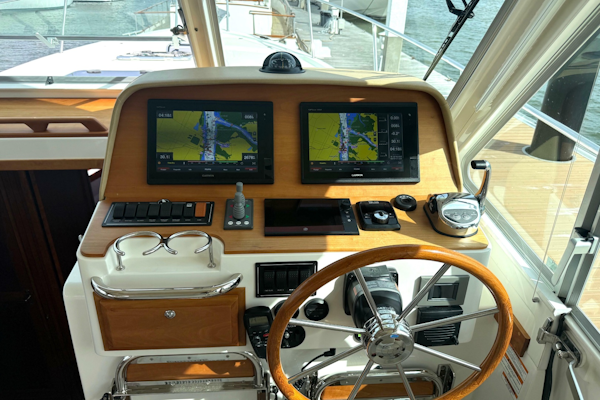 Back Cove-41 2018-Sea Sturgeon West River-Maryland-United States-6062260