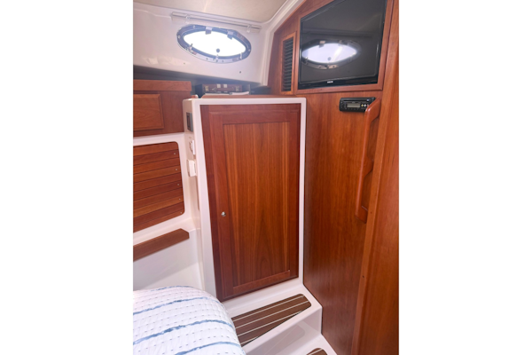 Back Cove-41 2018-Sea Sturgeon West River-Maryland-United States-6062273