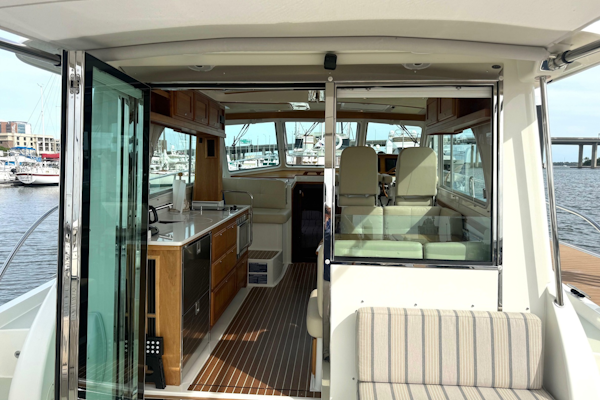Back Cove-41 2018-Sea Sturgeon West River-Maryland-United States-6062253