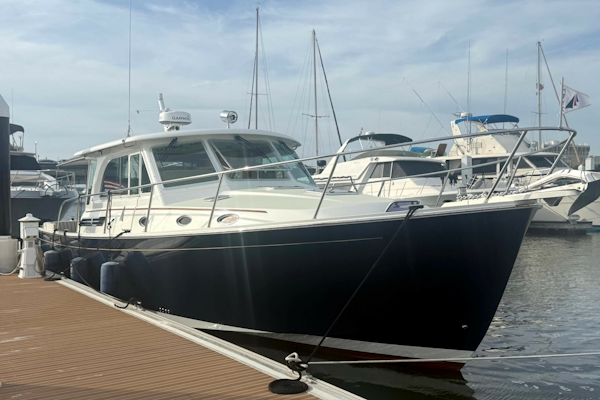 Back Cove-41 2018-Sea Sturgeon West River-Maryland-United States-6062173