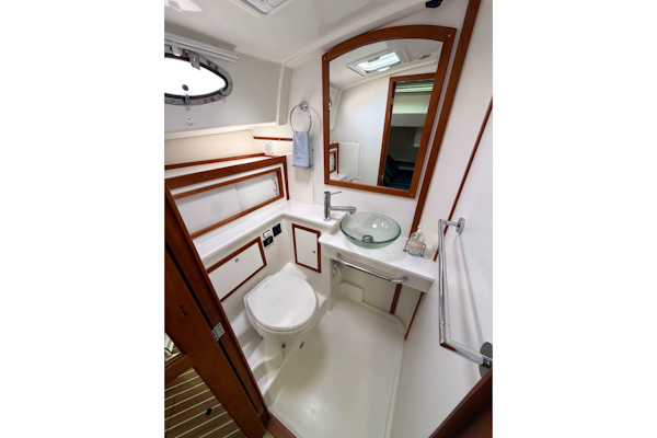 Back Cove-41 2018-Sea Sturgeon West River-Maryland-United States-6062270
