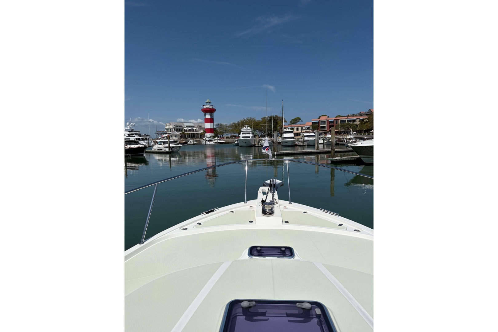 Back Cove-41 2018-Sea Sturgeon West River-Maryland-United States-6062248 | Thumbnail