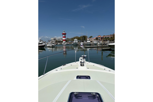Back Cove-41 2018-Sea Sturgeon West River-Maryland-United States-6062248