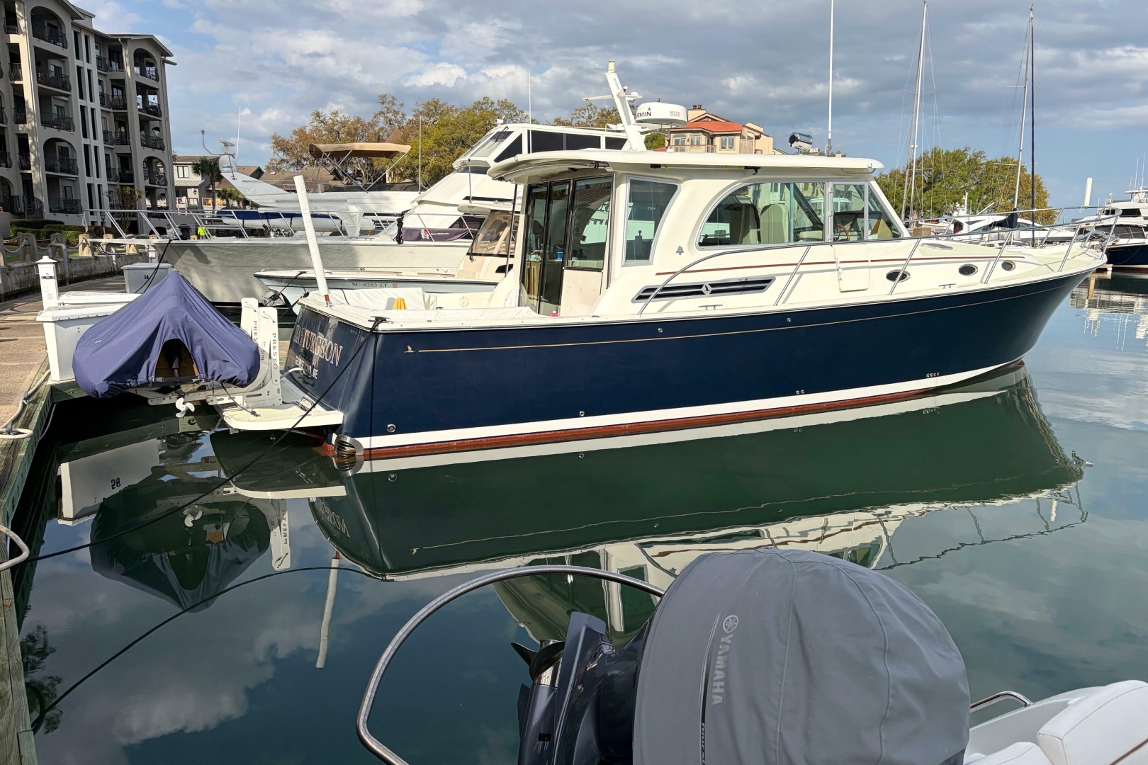 Back Cove-41 2018-Sea Sturgeon West River-Maryland-United States-6062246 | Thumbnail