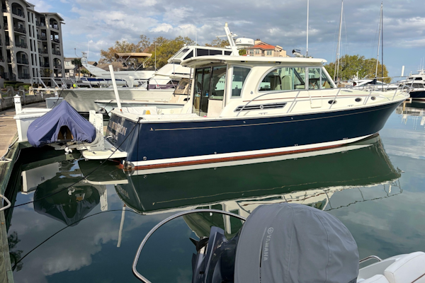 Back Cove-41 2018-Sea Sturgeon West River-Maryland-United States-6062246