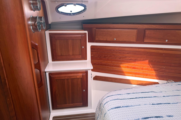 Back Cove-41 2018-Sea Sturgeon West River-Maryland-United States-6062275