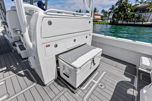 Invincible-43 Open Fishernam 2024-LOONEY TUNE Fort Lauderdale-Florida-United States-6062201
