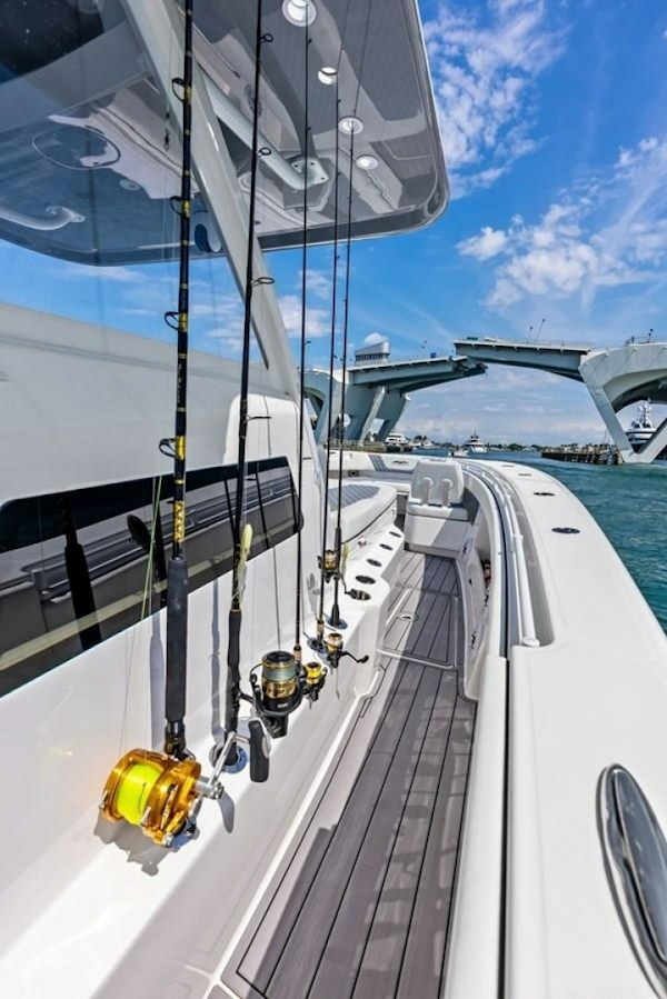 Invincible-43 Open Fishernam 2024-LOONEY TUNE Fort Lauderdale-Florida-United States-6062207