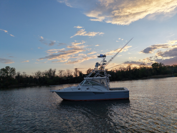 Pursuit-3400 2000-Old Fashioned Annapolis-Maryland-United States-6062290