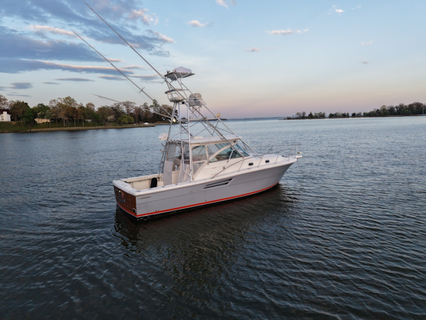 Pursuit-3400 2000-Old Fashioned Annapolis-Maryland-United States-6062298
