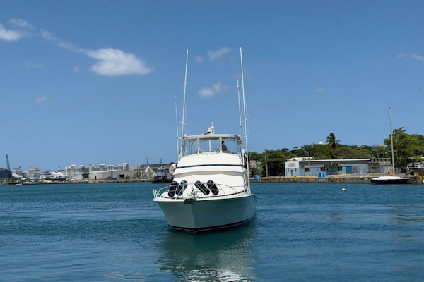 Bertram-60 Convertible 1995-Taniamar San Juan-Puerto Rico-6070984
