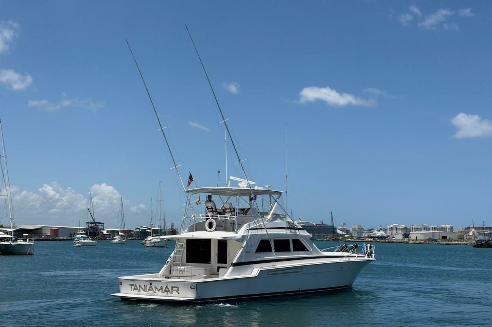 Bertram-60 Convertible 1995-Taniamar San Juan-Puerto Rico-6070979 | Thumbnail