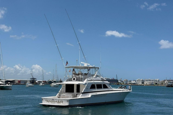 Bertram-60 Convertible 1995-Taniamar San Juan-Puerto Rico-6070979