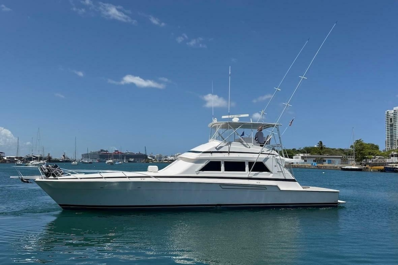 Bertram-60 Convertible 1995-Taniamar San Juan-Puerto Rico-6070974 | Thumbnail