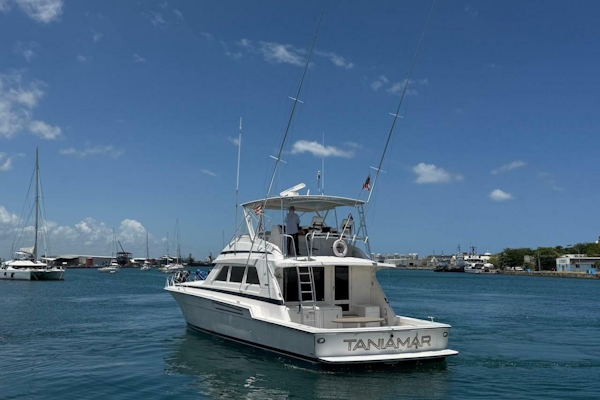 Bertram-60 Convertible 1995-Taniamar San Juan-Puerto Rico-6070987