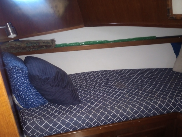 Marine Trading-44 Double Cabin 1981 -Baltimore-Maryland-United States-0005674653-6071197