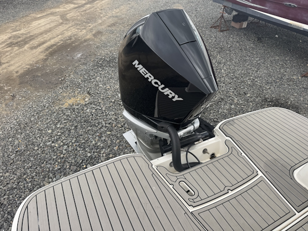 Sea Ray-SDX 250 Outboard 2024 -Brick-New Jersey-United States-6071954
