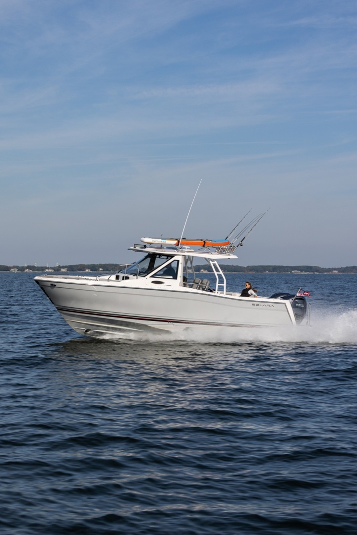 Solara-310 CW 2026 -Buffalo-New York-United States-6072640 | Thumbnail
