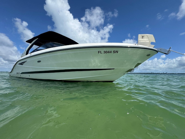 Sea Ray 2017 -Coral Gables-Florida-United States-6074612