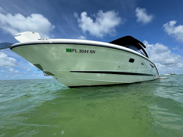 Sea Ray 2017 -Coral Gables-Florida-United States-6074608