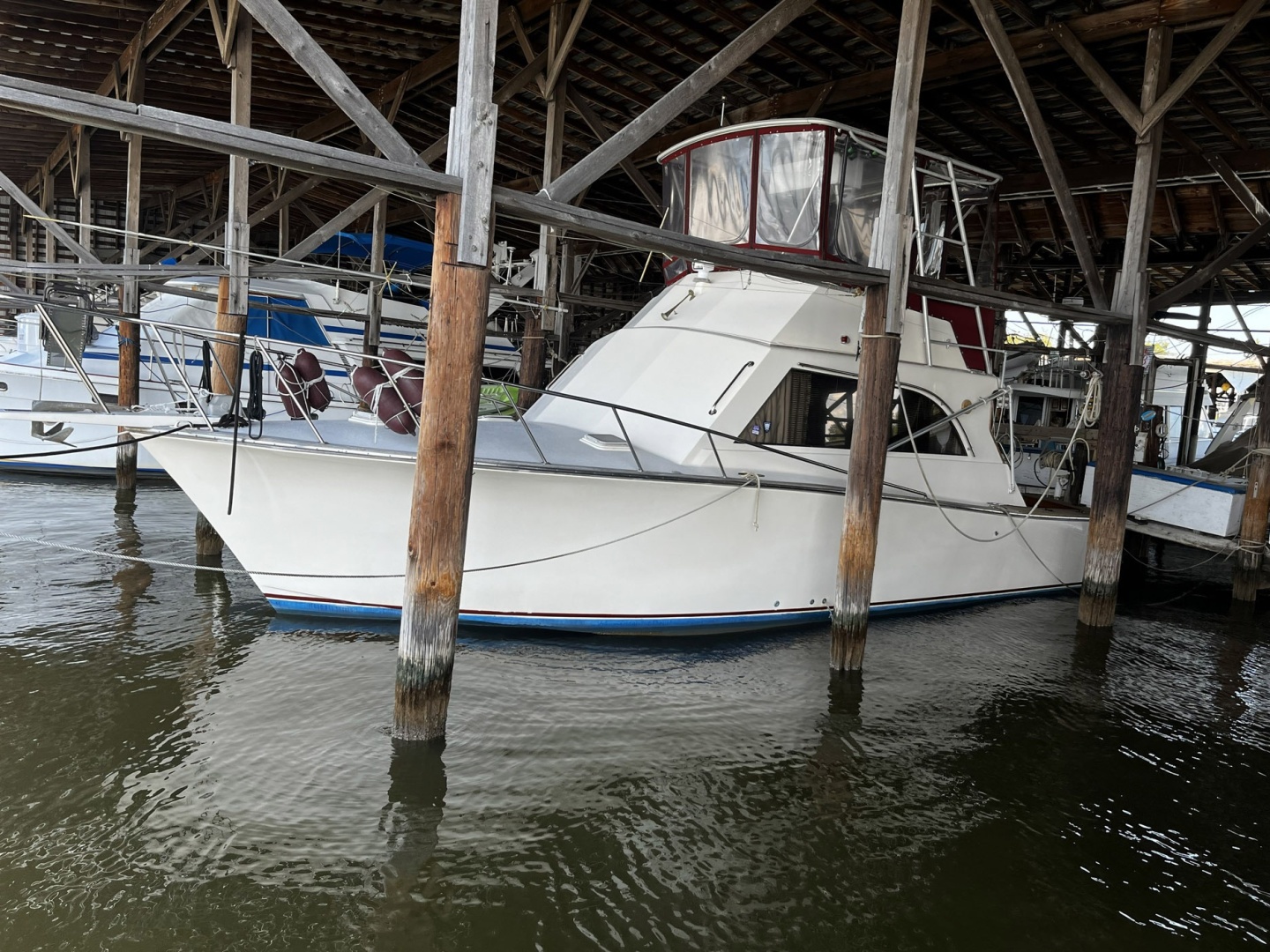 Pace-36 1991-Norma Joan  Colonial Beach -Virginia-United States-6084226 | Thumbnail
