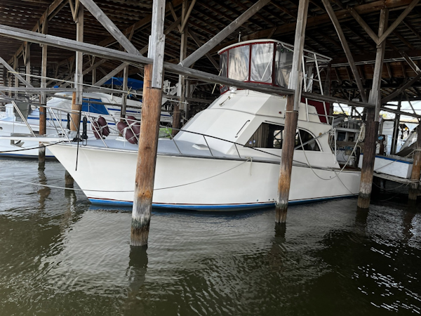 Pace-36 1991-Norma Joan  Colonial Beach -Virginia-United States-6084226