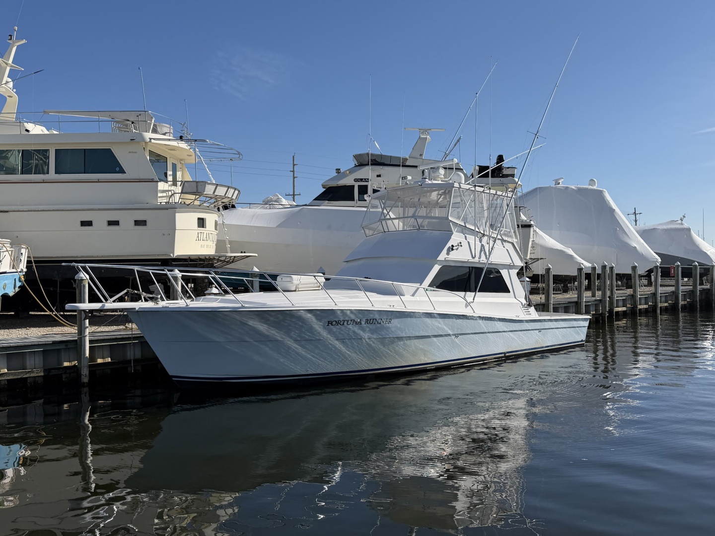 Viking-48 Convertible Sportfish 1987-Fortuna Runner Somers Point-New Jersey-United States-6077920 | Thumbnail