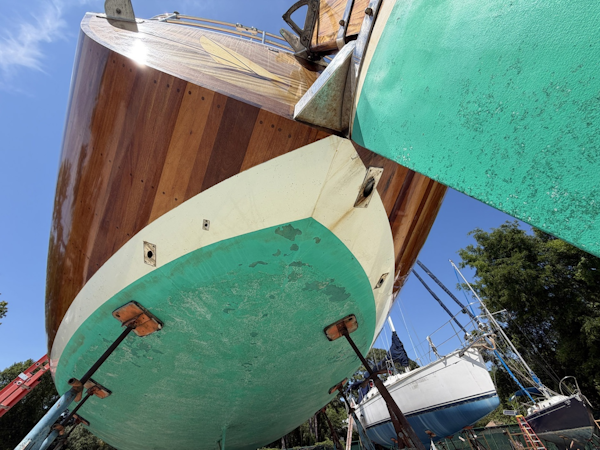Custom-Vic Carpenter Custom 62 1992-MERU Charleston-South Carolina-United States-6079491