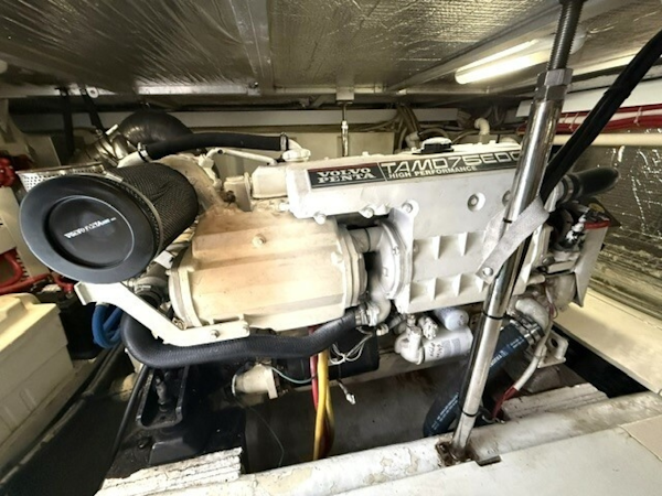 Carver-46 Voyager 2005-Clear 2 Close St Petersburg-Florida-United States-6083240