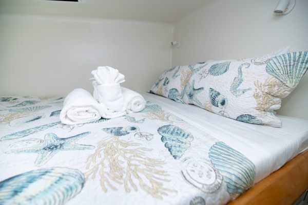 Voyage Yachts-500 2001 Turquoise Turtle        Roadtown-Virgin Islands (British)-6081195