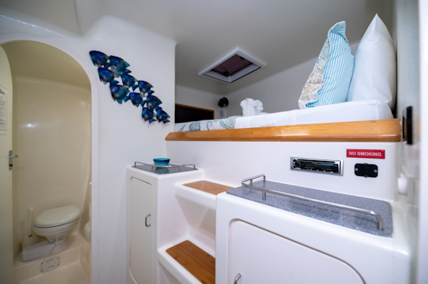 Voyage Yachts-500 2001 Turquoise Turtle        Roadtown-Virgin Islands (British)-6081194