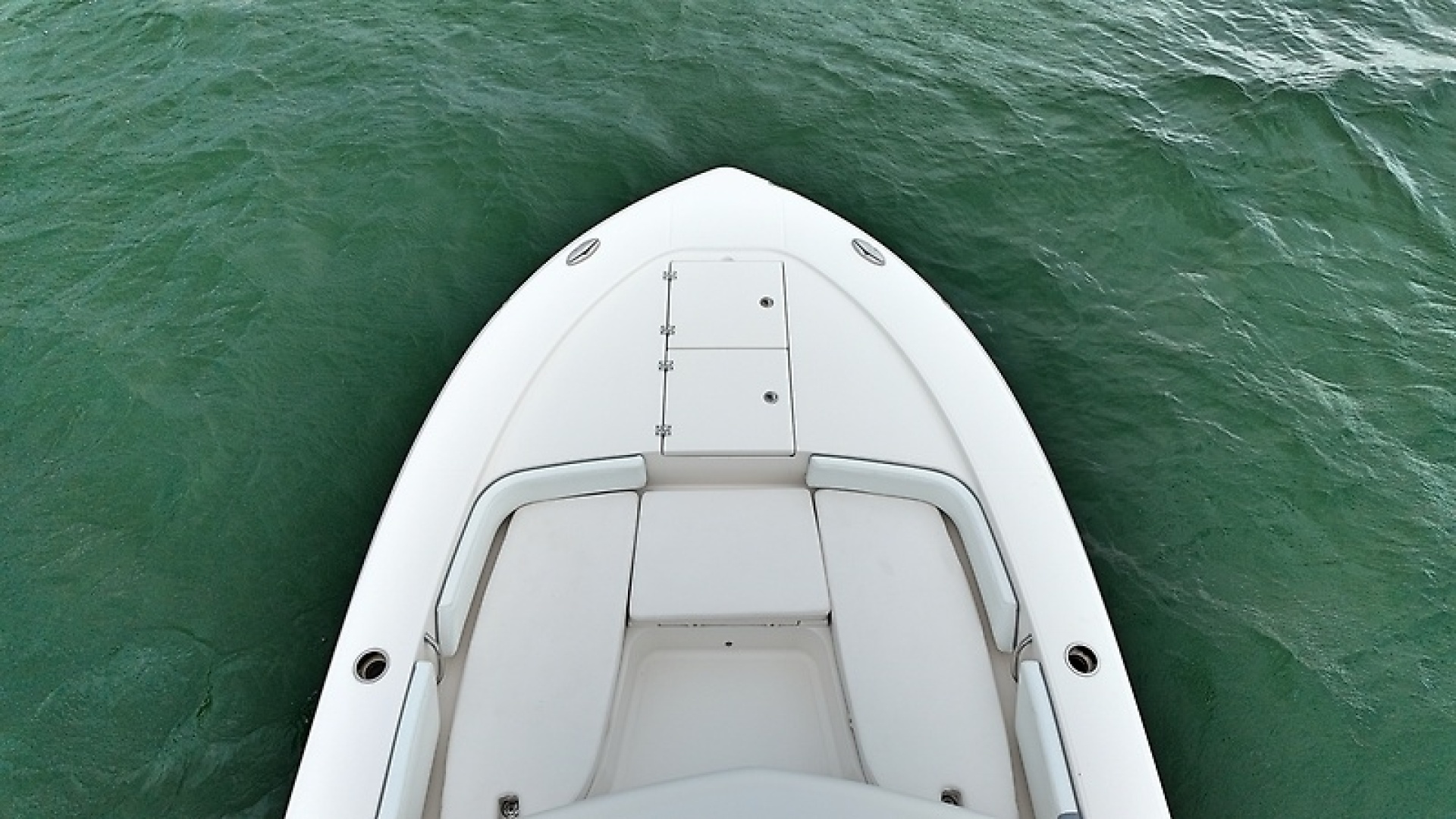Robalo-246 Cayman SD 2021 -Virginia Beach-Virginia-United States-0005696063-6082901 | Thumbnail