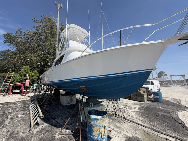 Bertram-31 Flybridge 1977-Mo-Mo I Charleston-South Carolina-United States-6085182