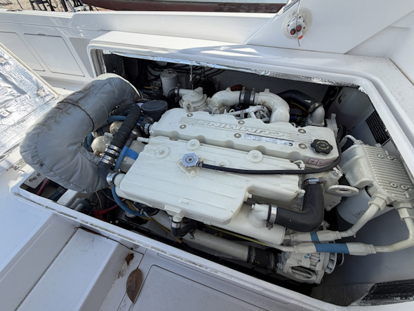 Bertram-31 Flybridge 1977-Mo-Mo I Charleston-South Carolina-United States-6085226