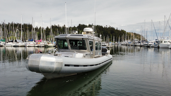 SAFE Boats-25 Defender 2006-Cygnet Anacortes -Washington-United States-6108773
