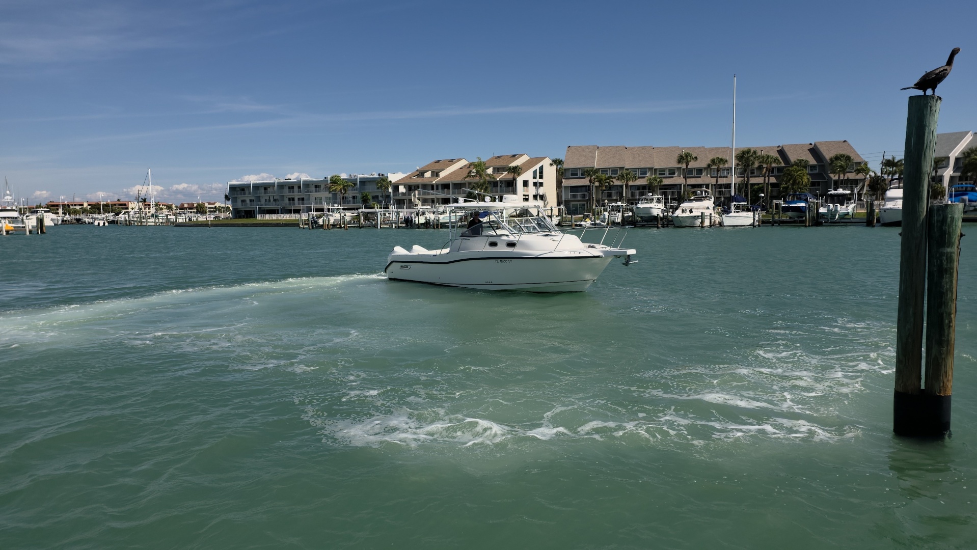 Boston Whaler-305 Conquest 2007 -Tierra Verde-Florida-United States-6088289 | Thumbnail
