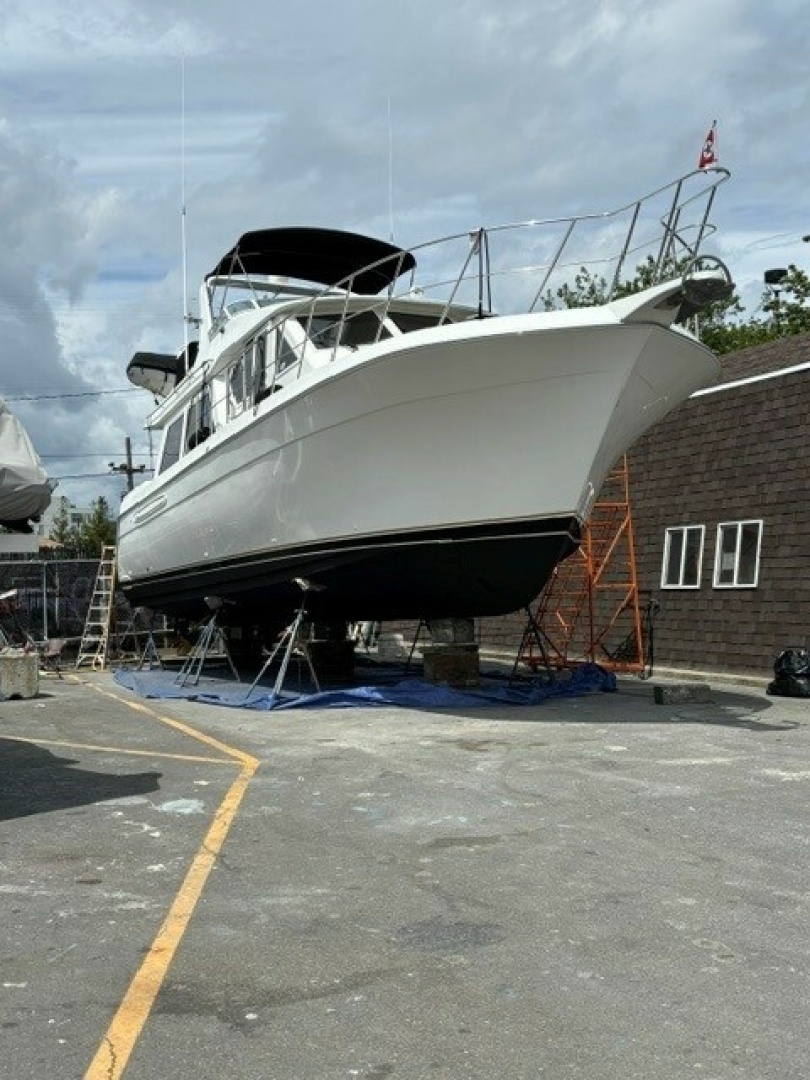 Navigator-Classic 48 2001-LADY CAPTIVA Seattle -Washington-United States-6088535 | Thumbnail