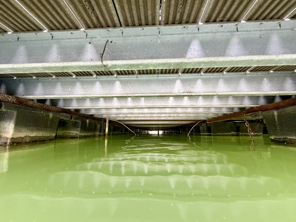 Custom-20 x 53 Floating Cabin  Approx 999/sqft 2002 -Norris Lake-Tennessee-United States-6089579