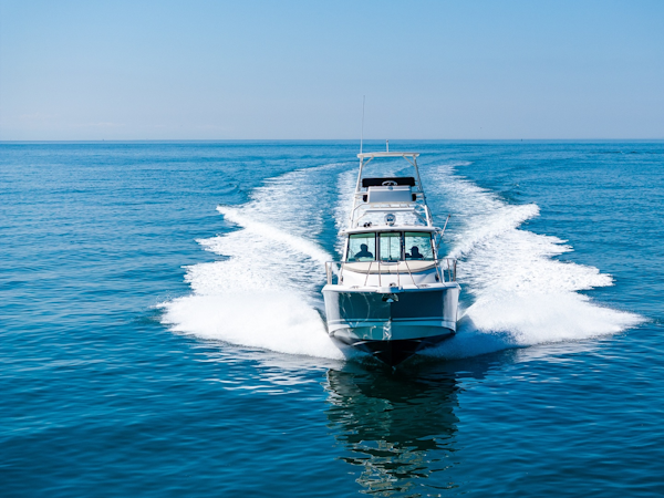 Boston Whaler-345 Conquest 2019-BARB La Conner-Washington-United States-6105591