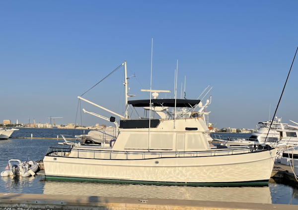Grand Banks-49 Classic 1983-PUNKY Mount Pleasant-South Carolina-United States-6106725