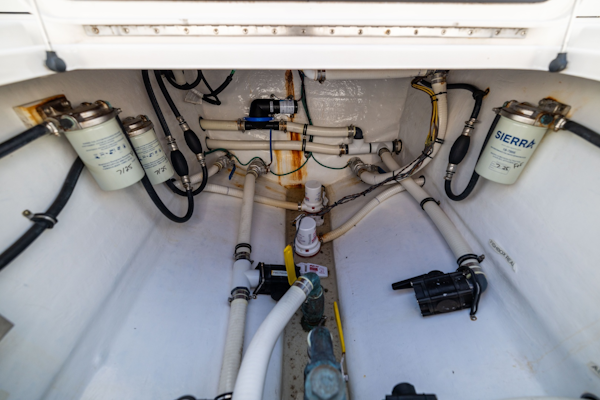Invincible 2015 -Vero Beach-Florida-United States-6107612